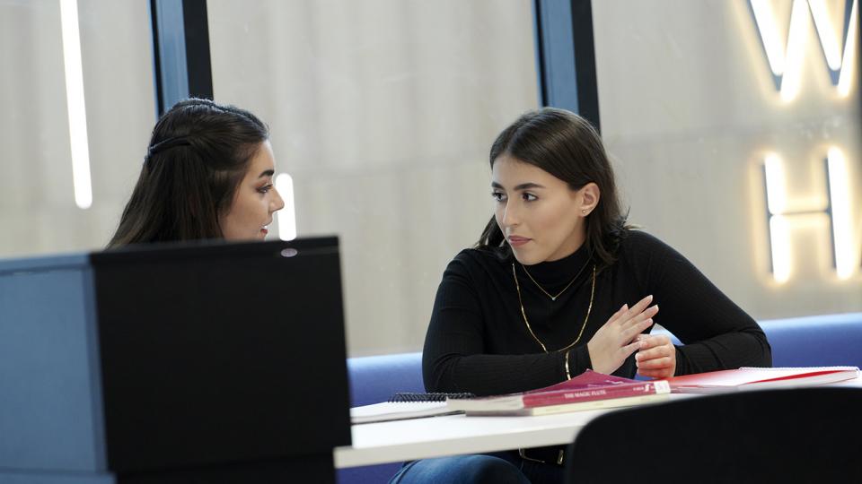 Two students working together in the Paul Hamlyn Library