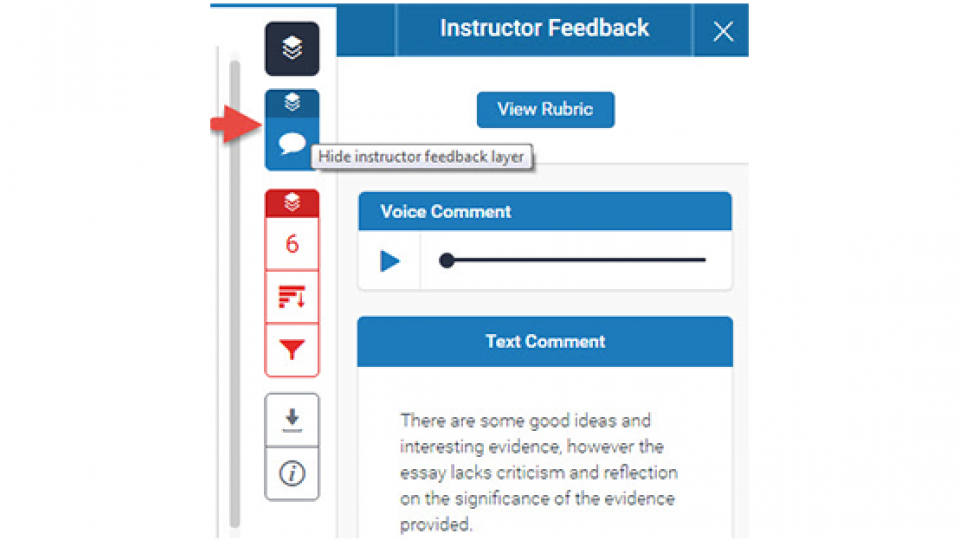 Image of the Instructor feedback icon