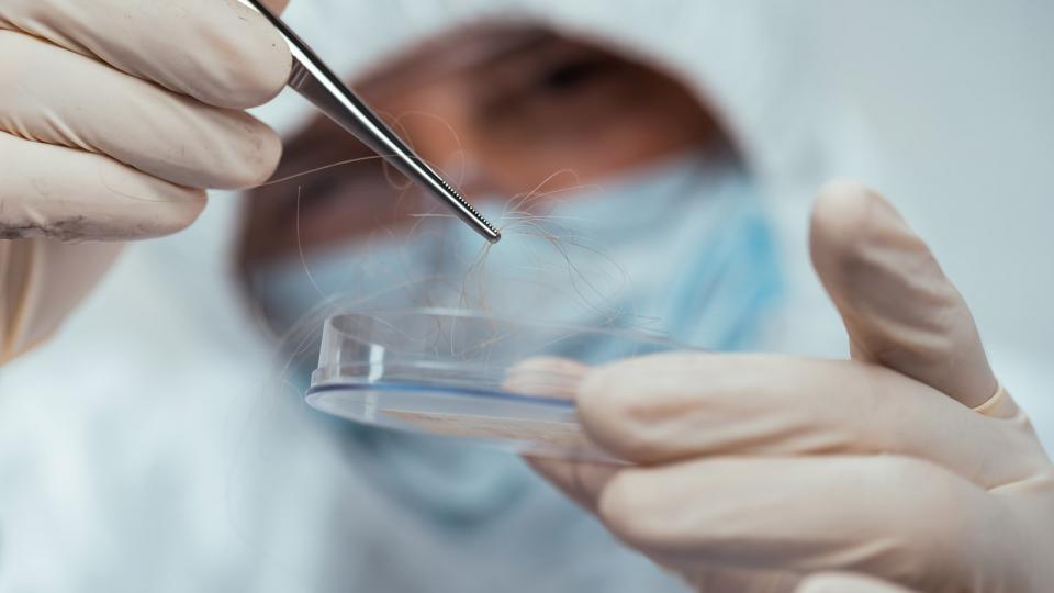 A forensic scientist analyses a hair sample