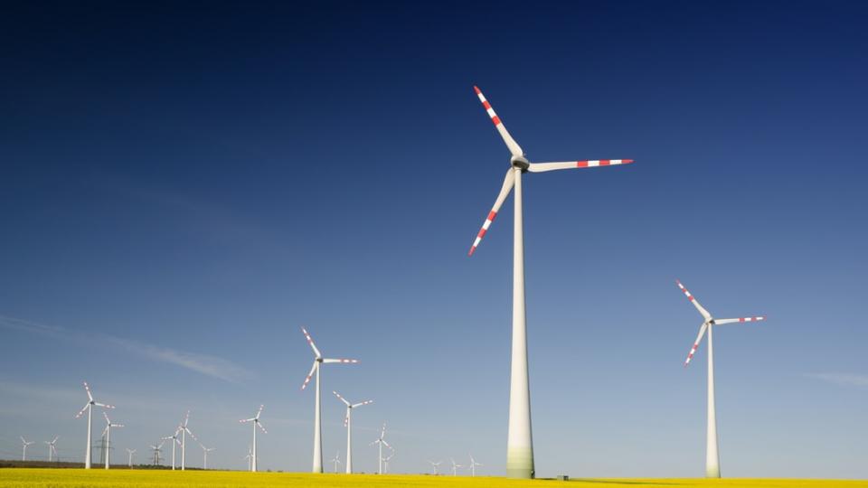 Windmills in a field, surrounded by blue sky.