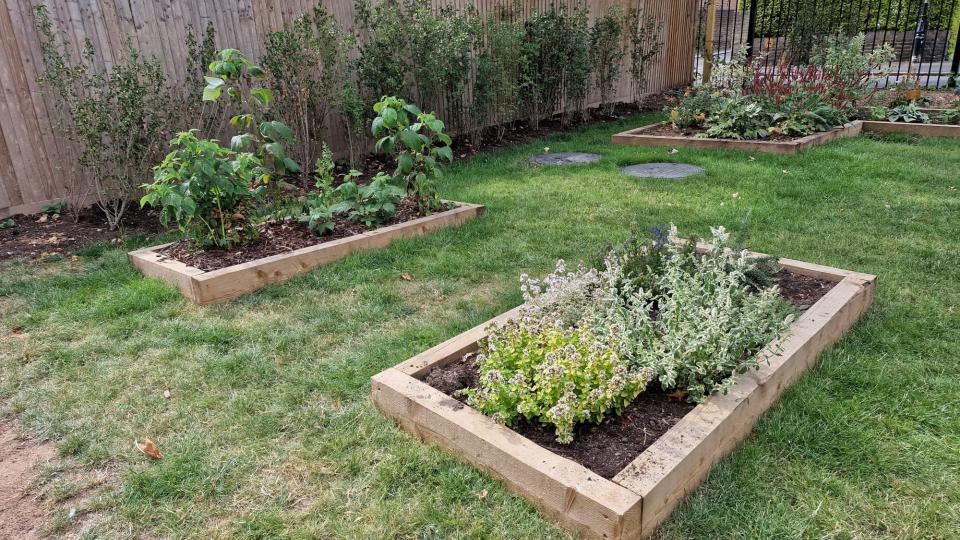 UWL's edible food garden, showing a range of plants in two rectangular growing areas.
