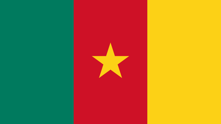 The flag for Cameroon
