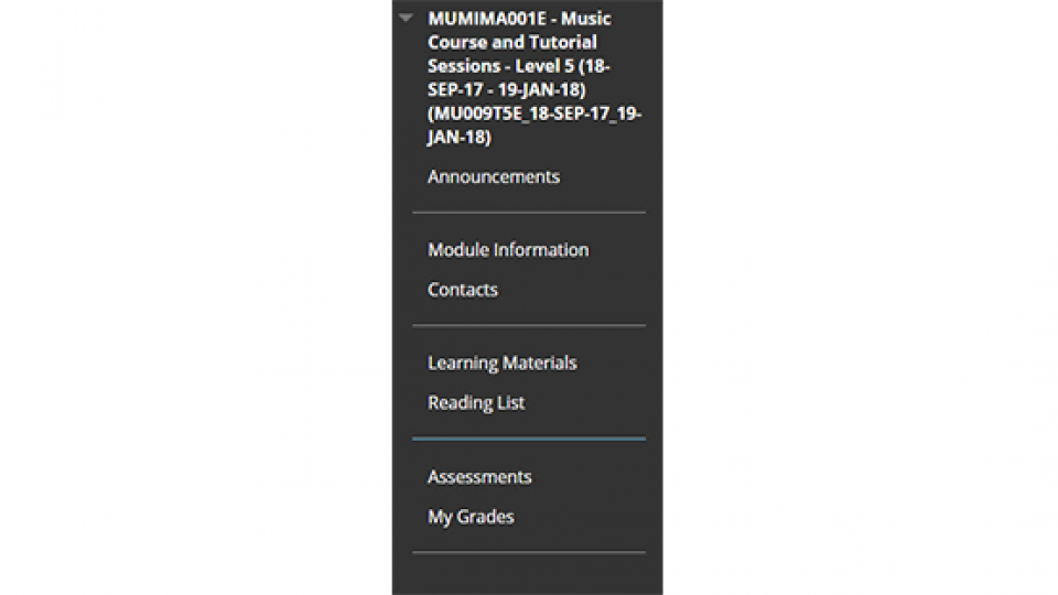 An image of the module menu on Blackboard