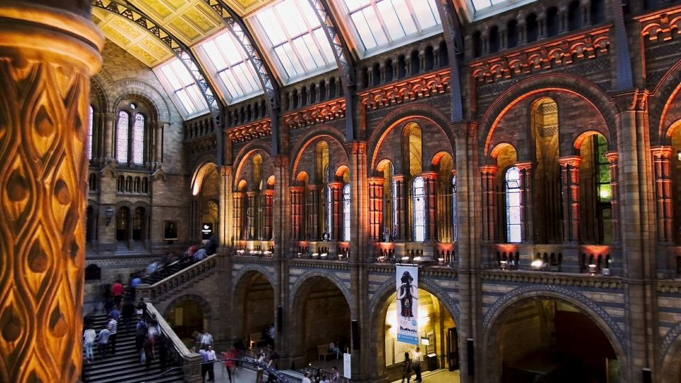 The interior of the Natural History Museum