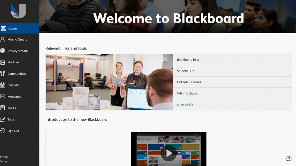 A screenshot of the Blackboard home page
