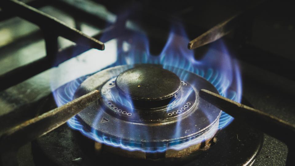 Gas stove ignited with blue flames