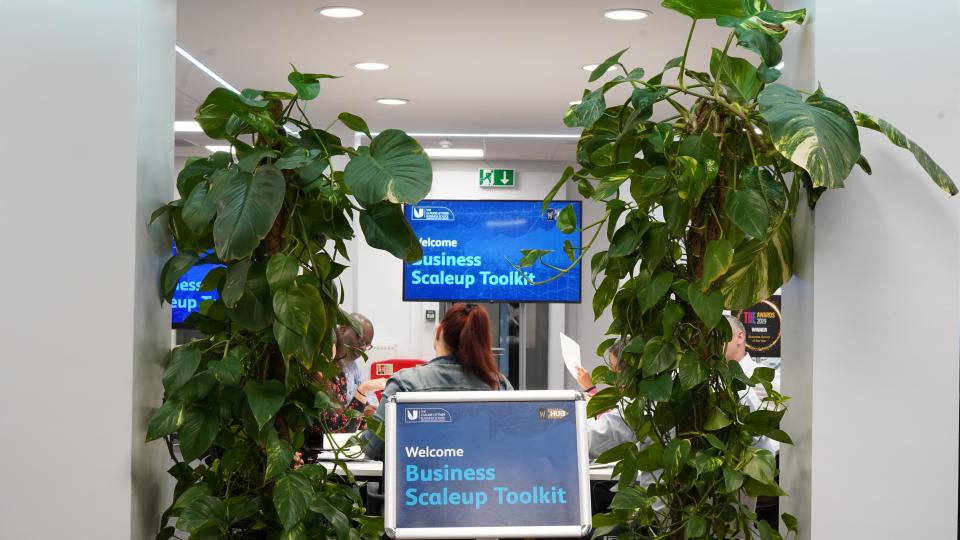 Through two large indoor plants there is a screen with the title business scaleup toolkit on a blue background. There is a table full of people sat talking.