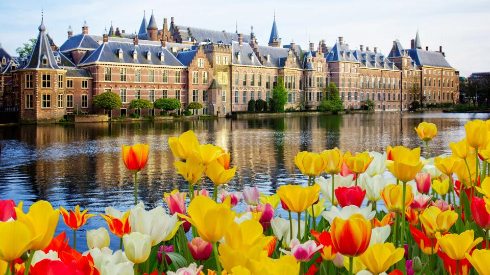 colourful tulips set against the backdrop of buildings surrounded by water 