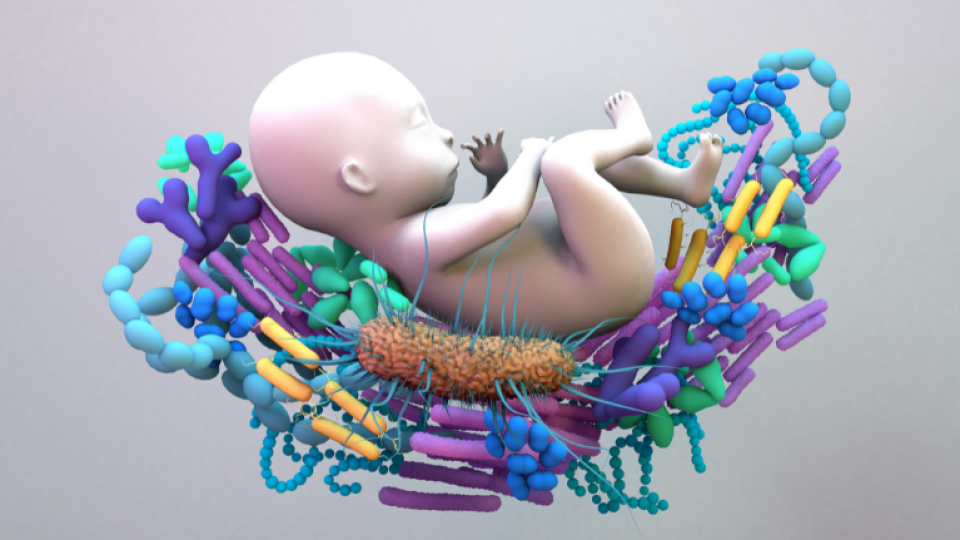 An artificial baby microbiome and genetic material of all the microbes.
