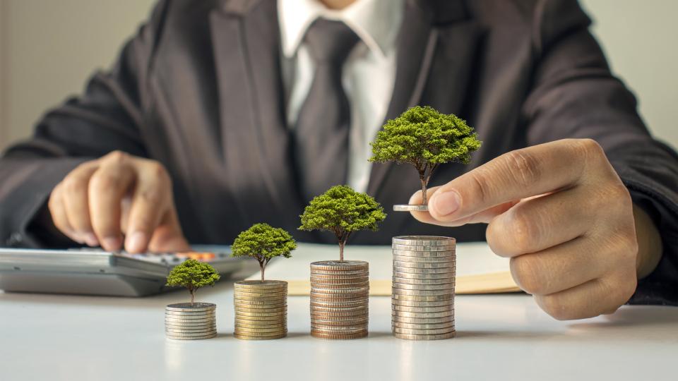 Businessman counts coins with trees on top of them
