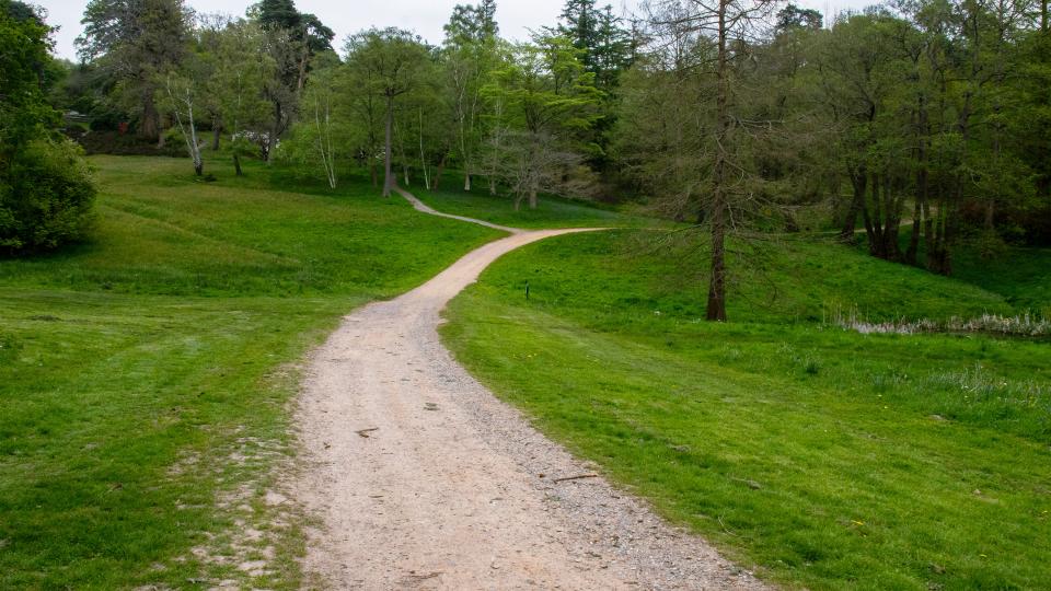 Maria Hussain's ARTSFEST photograph shows a green hilly landscape with trees and a path.