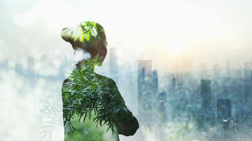 A businesswoman blended with a plant stares out of a window across a city