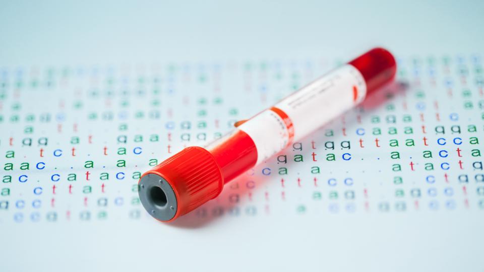 Blood sample in test tube on a sheet of DNA code