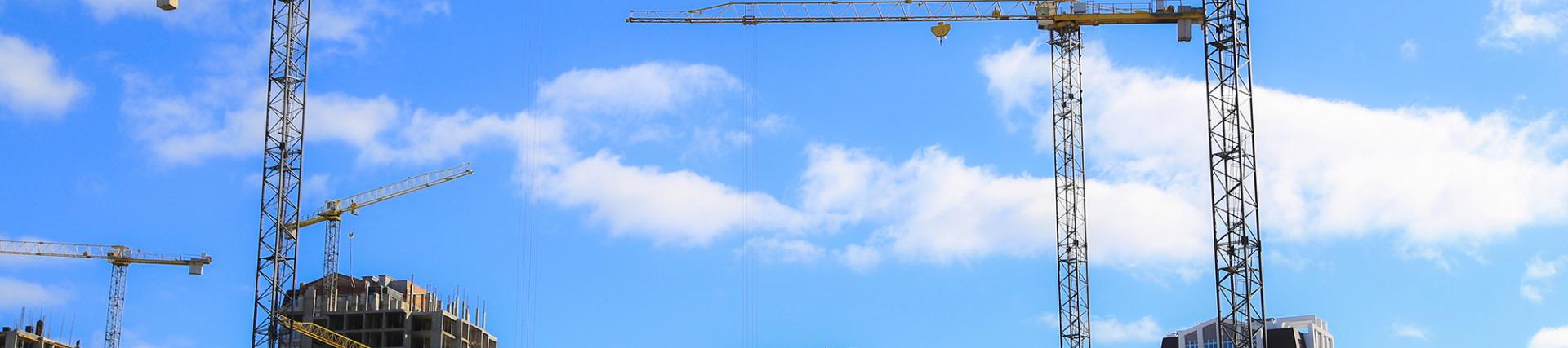 Cranes above a city