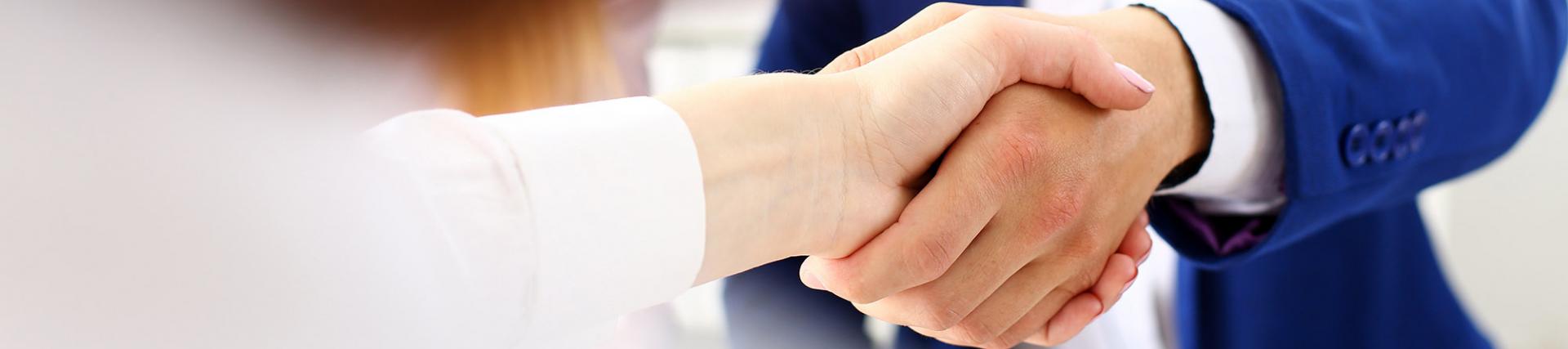 Two handshaking businesspeople