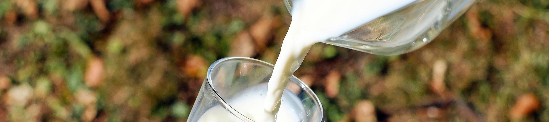 A glass being filled with milk from a jug