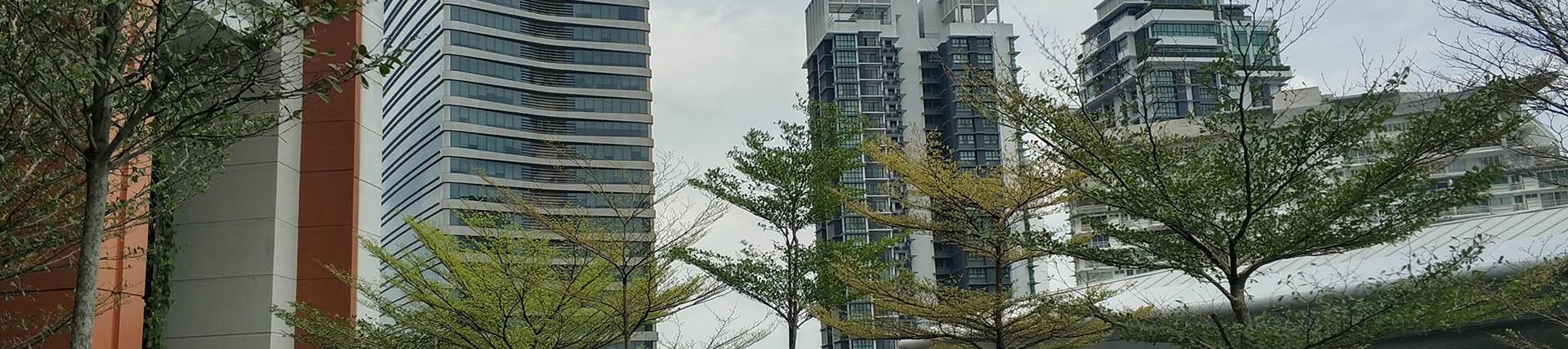 Several trees in pictured in front of four modern buildings